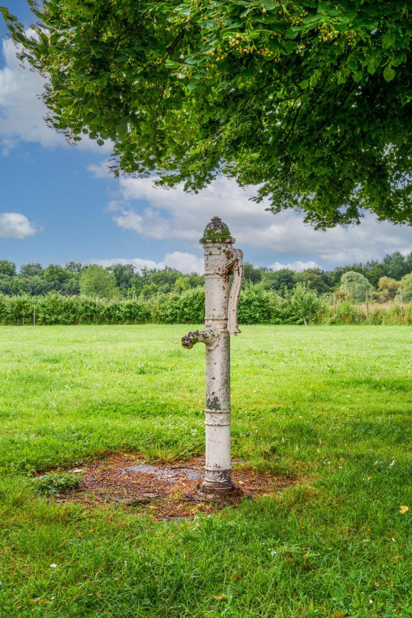 Maison Campagne Proche Tours Et Loches 6 Personnes Saint-Branchs المظهر الخارجي الصورة