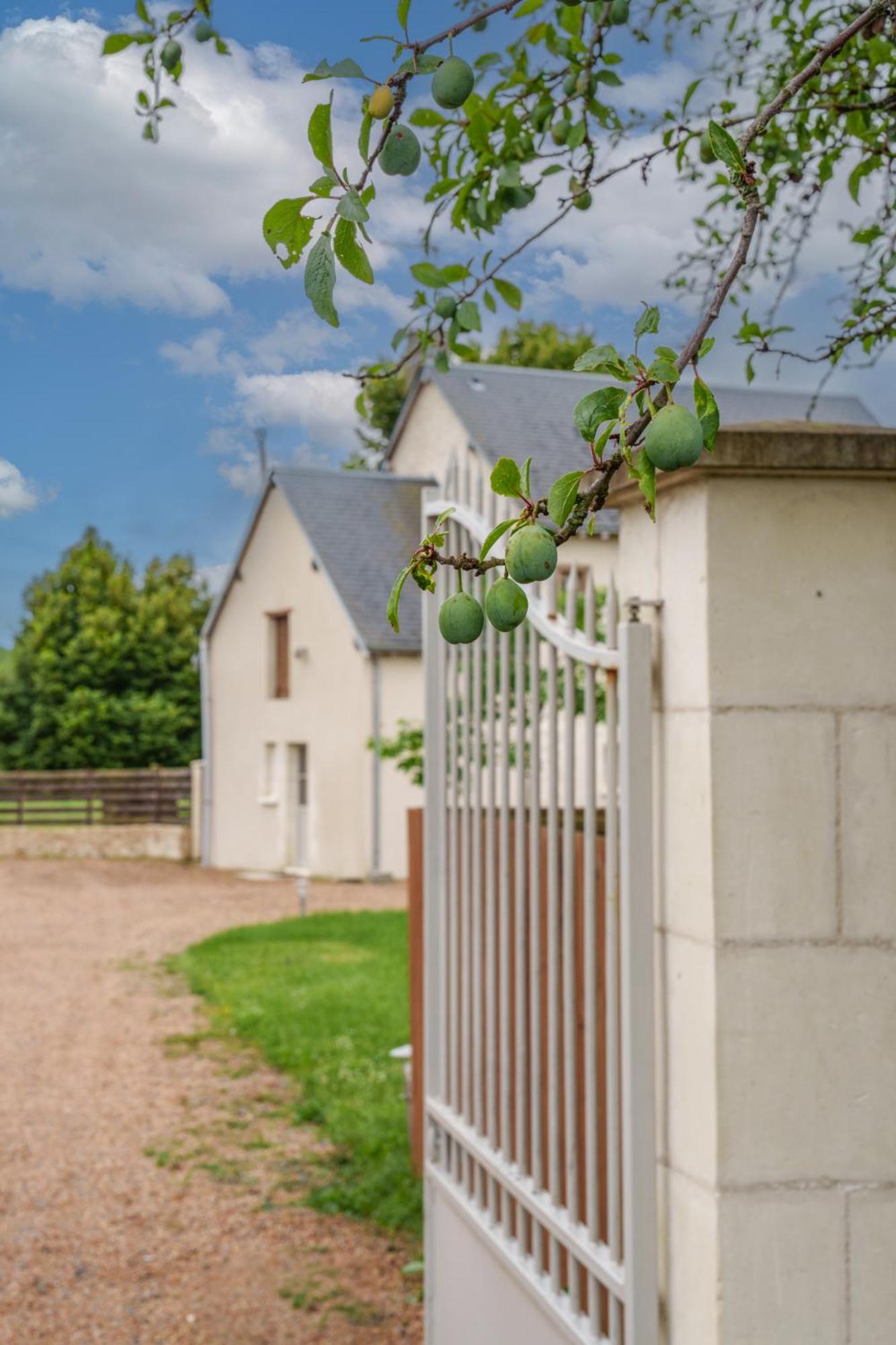 Maison Campagne Proche Tours Et Loches 6 Personnes Saint-Branchs المظهر الخارجي الصورة